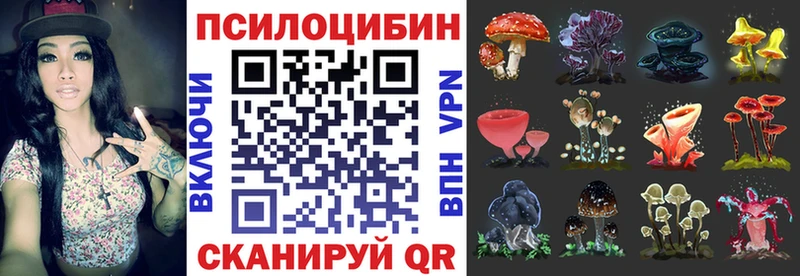 Псилоцибиновые грибы мицелий  Кодинск 